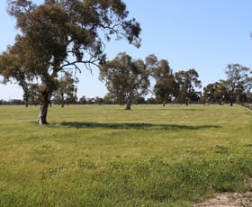Rural / Farming commercial property for sale at Allotment 33 Emu Springs Road Tintinara SA 5266