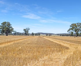 Rural / Farming commercial property sold at 325 The Rock Mangoplah Rd The Rock NSW 2655