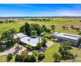 Rural / Farming commercial property sold at 1300 Ridgelands Road Alton Downs QLD 4702