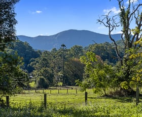 Rural / Farming commercial property for sale at 342 Upper Crystal Creek Road Upper Crystal Creek NSW 2484