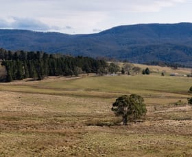 Rural / Farming commercial property for sale at 362 Kain Cross Road Krawarree NSW 2622