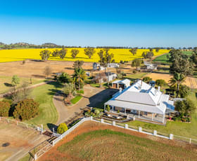 Rural / Farming commercial property for sale at 739 Rivers Road Canowindra NSW 2804