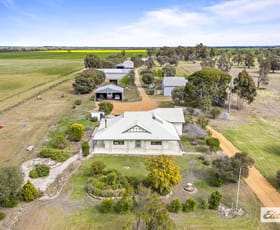 Rural / Farming commercial property for sale at 195 Auvergne Road Marnoo VIC 3387