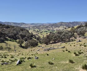 Rural / Farming commercial property sold at Lot 176 //405 Old Crudine Road Crudine NSW 2795