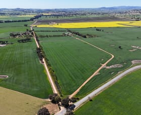 Rural / Farming commercial property for sale at 3650 Belubula Way Canowindra NSW 2804