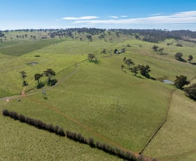 Rural / Farming commercial property for sale at "Hillview" Rockley Road Rockley NSW 2795