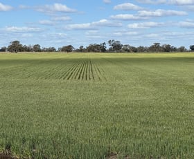 Rural / Farming commercial property for sale at 2584 Moulamein Road Barham NSW 2732