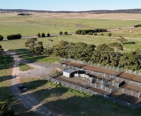 Rural / Farming commercial property for sale at 382 Bullamalita Road Goulburn NSW 2580