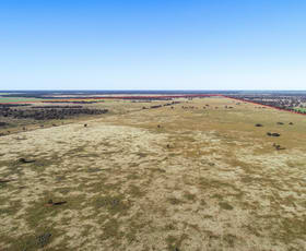 Rural / Farming commercial property sold at 256 Cockies Road Buddabadah NSW 2825