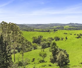 Rural / Farming commercial property sold at 416 Hogan Road Tarzali QLD 4885