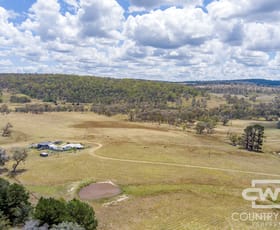 Rural / Farming commercial property for sale at 1651 Shannon Vale Road Shannon Vale NSW 2370