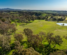 Rural / Farming commercial property sold at 538 Burrendong Way Orange NSW 2800