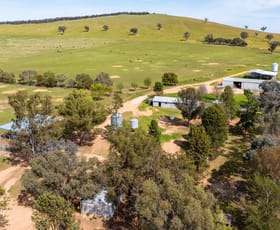 Rural / Farming commercial property for sale at 3393 Urana Road Burrumbuttock NSW 2642