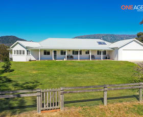 Rural / Farming commercial property for sale at 1000 Nowendoc Road Mount George NSW 2424