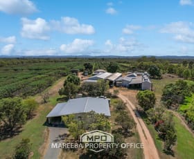 Rural / Farming commercial property for sale at 44 Carman Road, Paddy's Green Mareeba QLD 4880 Rural / Farming commercial property for sale at 44 Carman Road, Paddy's Green Mareeba QLD 4880