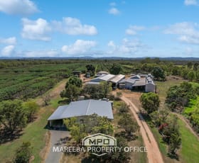 Rural / Farming commercial property for sale at 44 Carman Road, Paddy's Green Mareeba QLD 4880