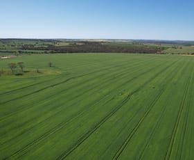 Rural / Farming commercial property for sale at Lot 107 Tyndall Road Mumberkine WA 6401