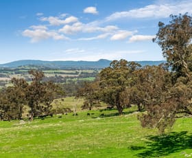 Rural / Farming commercial property sold at 87 Carstairs Road Langley VIC 3444