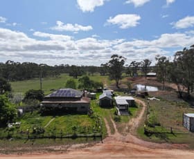 Rural / Farming commercial property sold at 25 Long Bush Road Mcintyre VIC 3472