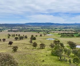 Rural / Farming commercial property sold at L908, L910, L1 Mareeba Road Parkville NSW 2337