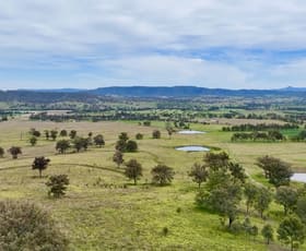 Rural / Farming commercial property for sale at L908, L910, L1 Mareeba Road Parkville NSW 2337