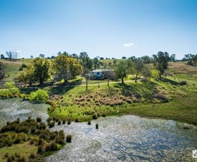 Rural / Farming commercial property sold at 174 Daisy Hill Road Buckajo NSW 2550