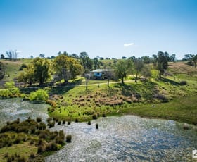 Rural / Farming commercial property for sale at 174 Daisy Hill Road Buckajo NSW 2550