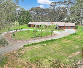 Rural / Farming commercial property for sale at 525 McGrath Road Stanhope VIC 3623