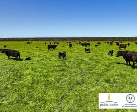 Rural / Farming commercial property sold at 364 Wilsons Road Mumbannar VIC 3304