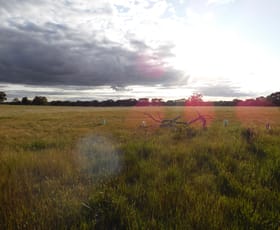Rural / Farming commercial property sold at Lot 417 Great Southern Highway Broomehill Village WA 6318