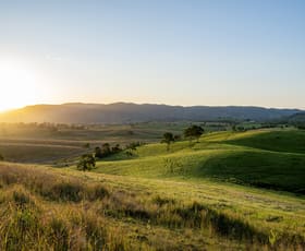 Rural / Farming commercial property for sale at 1890 Maleny Kenilworth Road Conondale QLD 4552