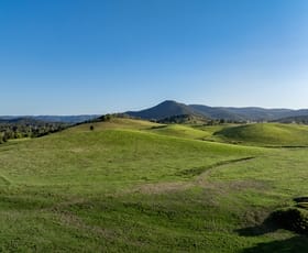 Rural / Farming commercial property for sale at 1890 Maleny Kenilworth Road Conondale QLD 4552