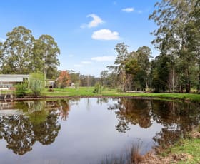 Rural / Farming commercial property sold at 155 Beards Track Shady Creek VIC 3821