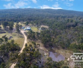 Rural / Farming commercial property for sale at 2474 Torrington Road Torrington NSW 2371