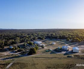 Rural / Farming commercial property sold at 987 Carlingup Road Ravensthorpe WA 6346