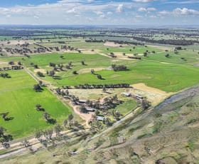 Rural / Farming commercial property for sale at Yarraman Road Bunnaloo NSW 2731