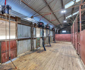 Rural / Farming commercial property for sale at 941 Yarraman Road Bunnaloo NSW 2731