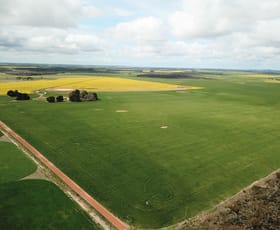 Rural / Farming commercial property for sale at 828 Gnowellen Road Wellstead WA 6328
