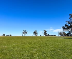 Rural / Farming commercial property for sale at 353 Frankland-Cranbrook Road Frankland River WA 6396