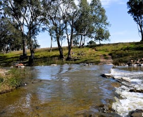 Rural / Farming commercial property for sale at The Springs Road, Benolong, Lot 25 in DP 753232 Yeoval NSW 2868