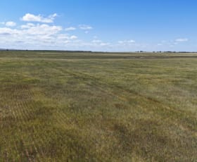Rural / Farming commercial property sold at Pcs 56 & 57 Langhorne Creek Road Mulgundawa SA 5255