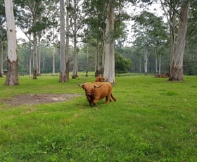 Rural / Farming commercial property for sale at 14 Gibber Place Annangrove NSW 2156