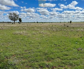 Rural / Farming commercial property for sale at 1211 Yarrandale Road Hermidale NSW 2831