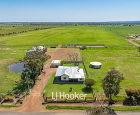 Rural / Farming commercial property sold at 148 Partridge Road Benger WA 6223