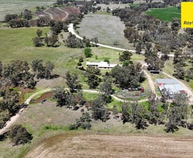 Rural / Farming commercial property for sale at 238 Rob Roy Road Inverell NSW 2360