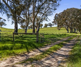 Rural / Farming commercial property for sale at Lot 197 Craneford Road Flaxman Valley SA 5235