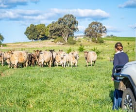 Rural / Farming commercial property sold at Canowindra Road Cowra NSW 2794
