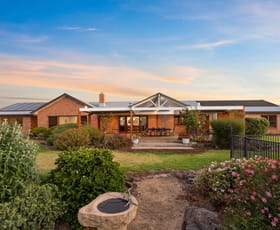 Rural / Farming commercial property sold at 599 Linthorpe Road Linthorpe QLD 4356