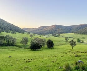 Rural / Farming commercial property sold at Lot 2 Watagan Creek Road Laguna NSW 2325