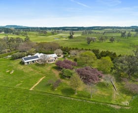 Rural / Farming commercial property for sale at Kelly's Creek/6110 Illawarra Highway Moss Vale NSW 2577